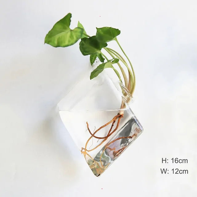 Wall Hanging Glass Vase